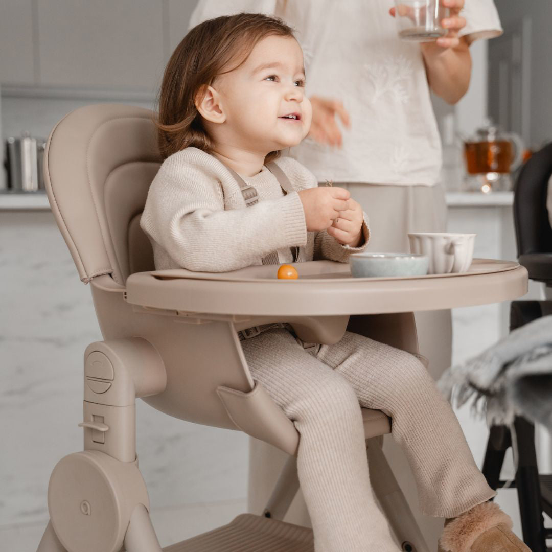 Anex® Stolček za hranjenje 3v1 Ozy Fluff Anex