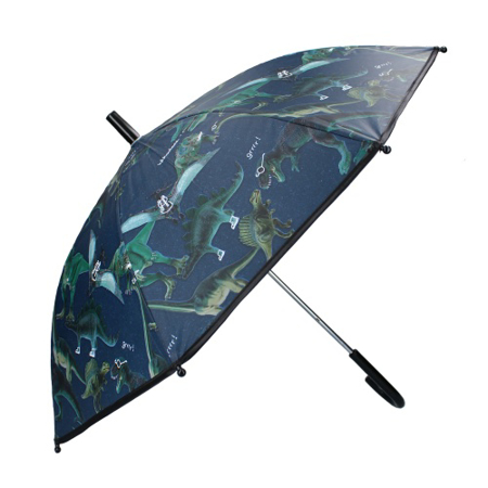 Picture of Disney's Fashion® Umbrella Don't Worry About Rain