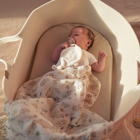 Picture of Jollein® Moses basket Natural