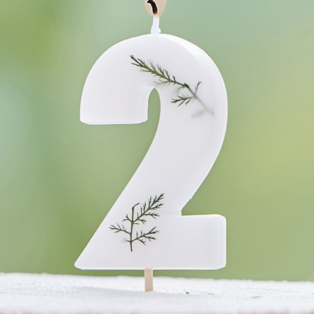 Picture of Ginger Ray® Leaf Foliage Birthday Candle Number 2