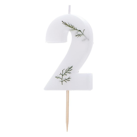 Picture of Ginger Ray® Leaf Foliage Birthday Candle Number 2
