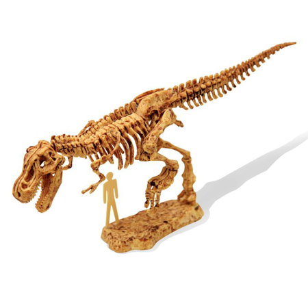 Picture of Buki® DinoKit - Tyrannosaure