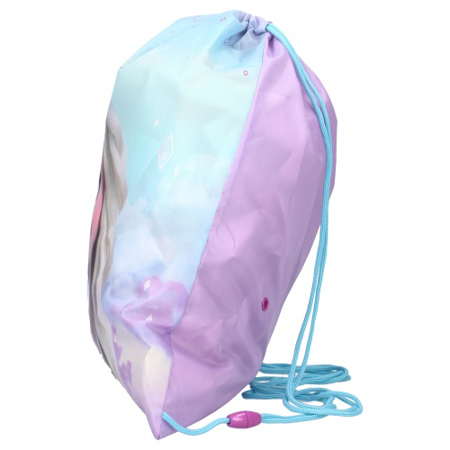 Picture of Disney’s Fashion®  Gym Backpack Frozen II Pastel Power